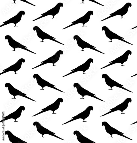 Vector seamless pattern of hand drawn Indian ringneck parrot silhouette isolated on white background