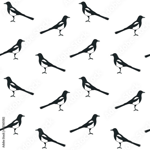 Vector seamless pattern of hand drawn doodle sketch colored magpie bird isolated on white background photo