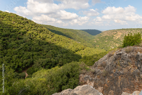 View  from the walls of the ruins of the Monfort fortress to the adjacent forested gorge in northern Israel photo