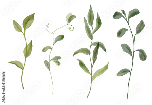 Fotobehang Greenery, herbs isolated on white background, watercolor illusrations