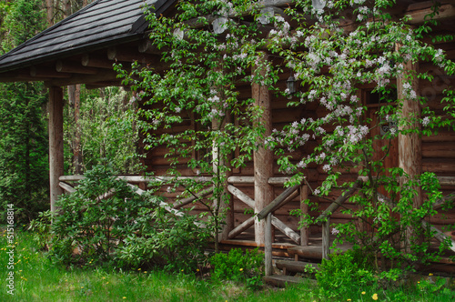 Wooden cosy forest cabin surrounded with blooming flowers