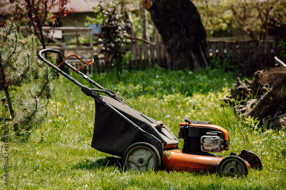Fototapeta premium lawn mower in the garden