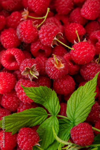 Ripe juicy raspberries close-up. Background from raspberries with green leaf. Summer delicious sweet berry. Texture of raspberry macro photo. Healthy organic food  vitamins. Raspberry harvest