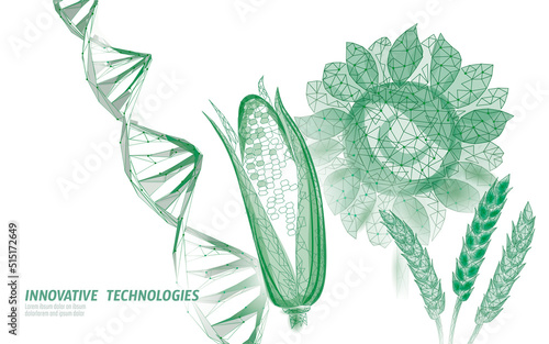 GMO wheat gene modified plant. Corn sunflower biology genetics engineering innovation organic eco food technology 3D render banner vector illustration