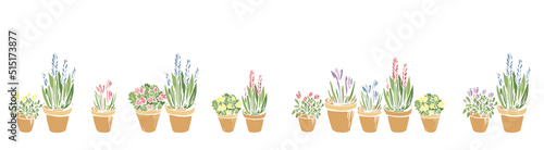 Simple seamless horizontal border frame with colored flowerpots  flowers  potted plants. Endless pattern with hand drawn silhouette on white background for home  festive decor. Vector illustration.