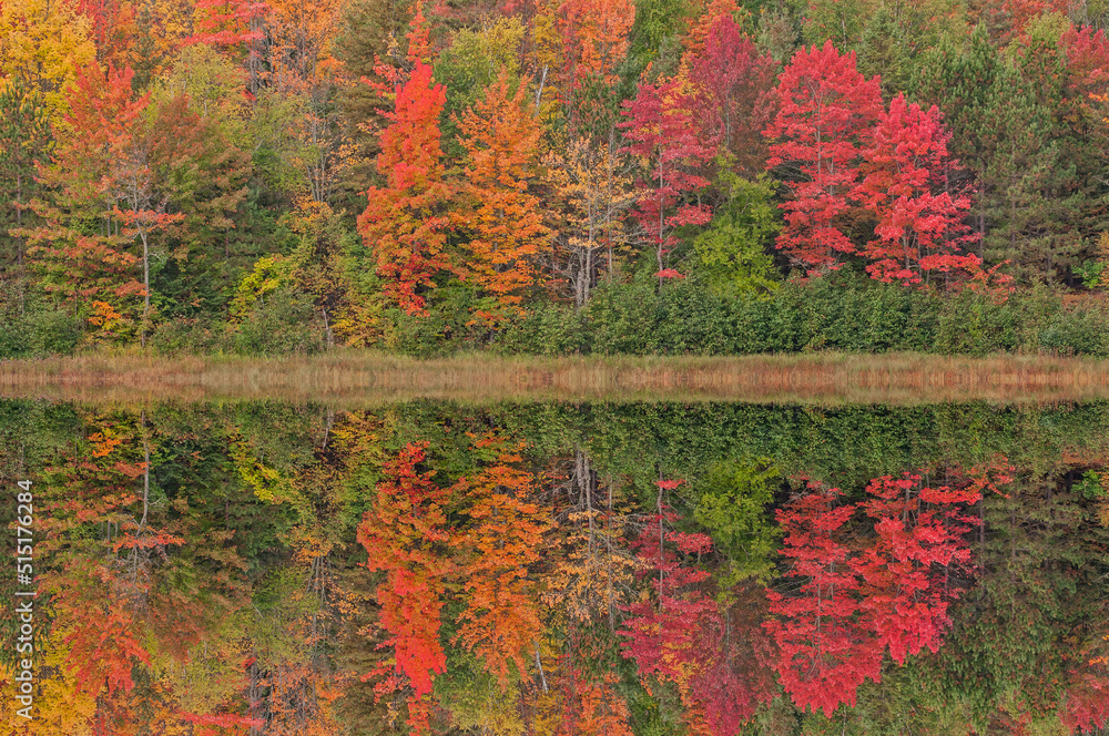 Obraz premium Autumn landscape of the shoreline of Courtney Lake with mirrored reflections in calm water, Michigan's Upper Peninsula, USA