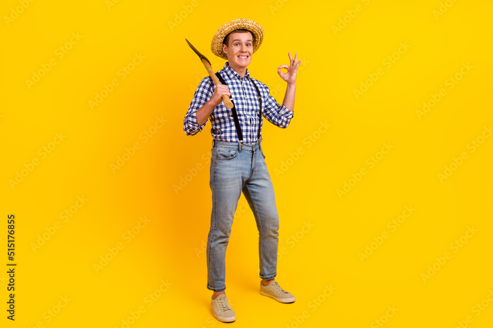 Lumberjack style cutting wood man hold axe makeing okay symbol choice advice isolated on bright color background Lumberjack style cutting wood man hold axe makeing okay symbol choice advice isolated on bright color background