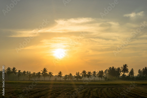 Sunrise Sky In The Morning At Rustic Rice Field In Thailand.