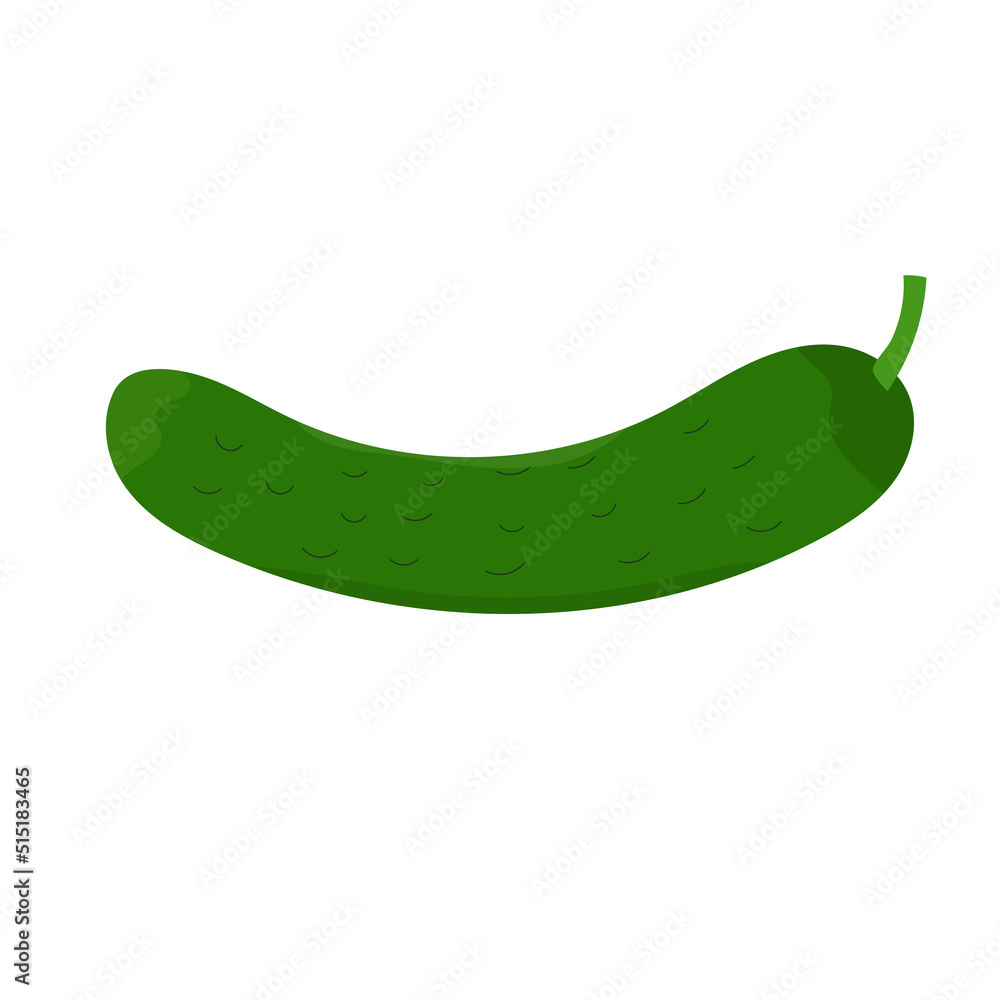 Fresh vegetable green cucumber. Healthy food. Ecological products. Single element. Flat style. Vector. Fresh vegetable green cucumber. Healthy food. Ecological products. Single element. Flat style. Vector.