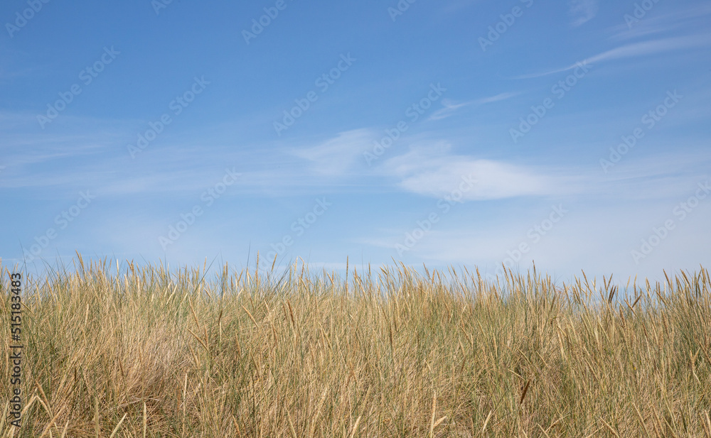 landscape of Baltic Sea dunes with white clouds on blue sky	in background