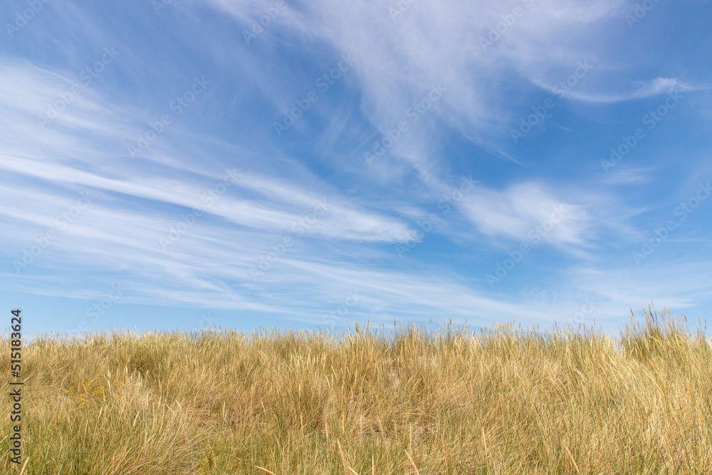 landscape of Baltic Sea dunes with white clouds on blue sky	in background