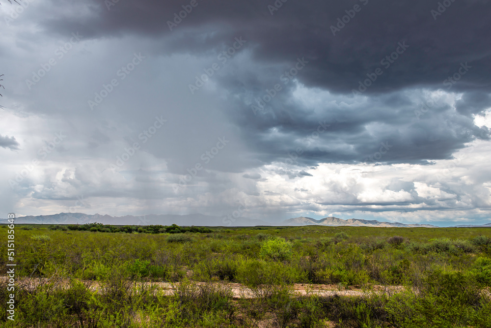 Monsoon season in Southern Arizona