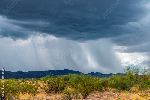 Monsoon season in Southern Arizona