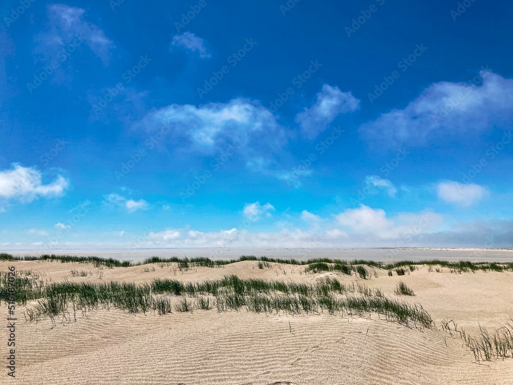 Fototapeta premium Dünenlandschaft Juist