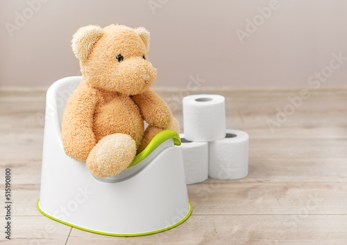 A soft toy sits on a potty. Toilet paper nearby.
