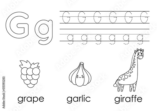 Learning English alphabet for kids. Letter G. Coloring book.