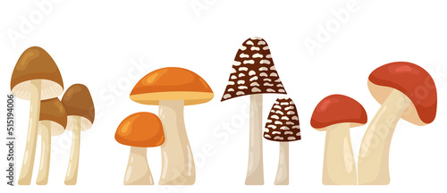 mushrooms on white background vector