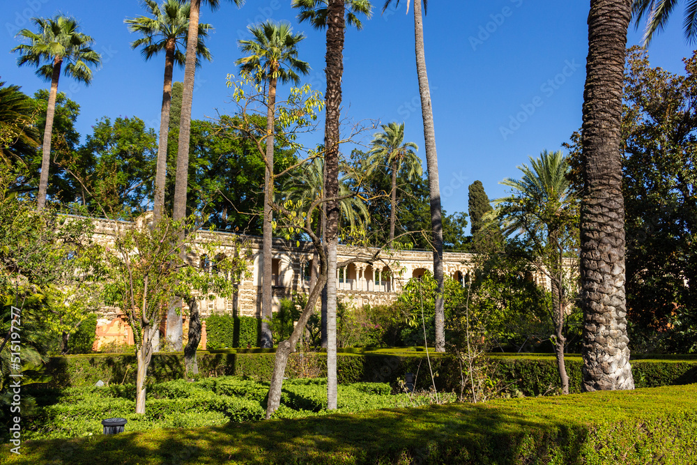 Fototapeta premium Seville, Spain, September 11, 2021: The Royal Palace of Seville (Real Alcazar). The Jardin de las Damas (Ladies’ Garden).