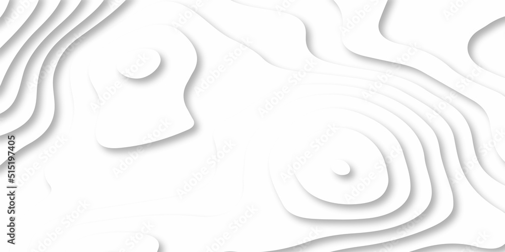 Abstracts Luxury paper cut background, Abstract decoration, white pattern gradients, 3d Vector illustration, topographic canyon map light relief texture, curved layers and shadow.