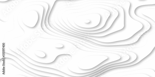 Abstracts Luxury paper cut background, Abstract decoration, white pattern gradients, 3d Vector illustration, topographic canyon map light relief texture, curved layers and shadow.