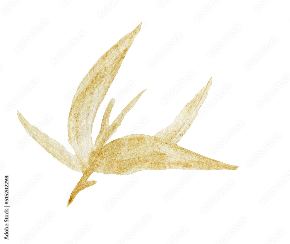 Fototapeta premium Watercolor japan leaf, Watercolor illustrations Bamboo Watercolor Asian Style Painting.