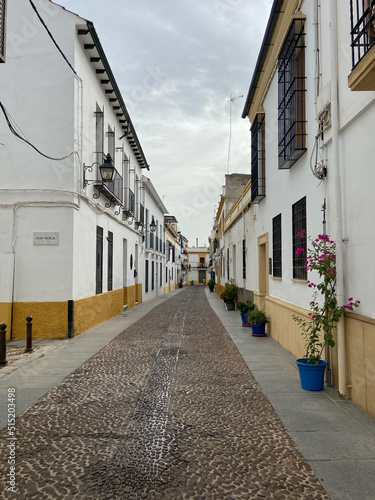 Cordoba  Spain  September 13  2021  Street scene with traditional Andalucian architecture in the historical city of Cordoba. Narrow street in the San Basilio neighborhood  Andalusia.
