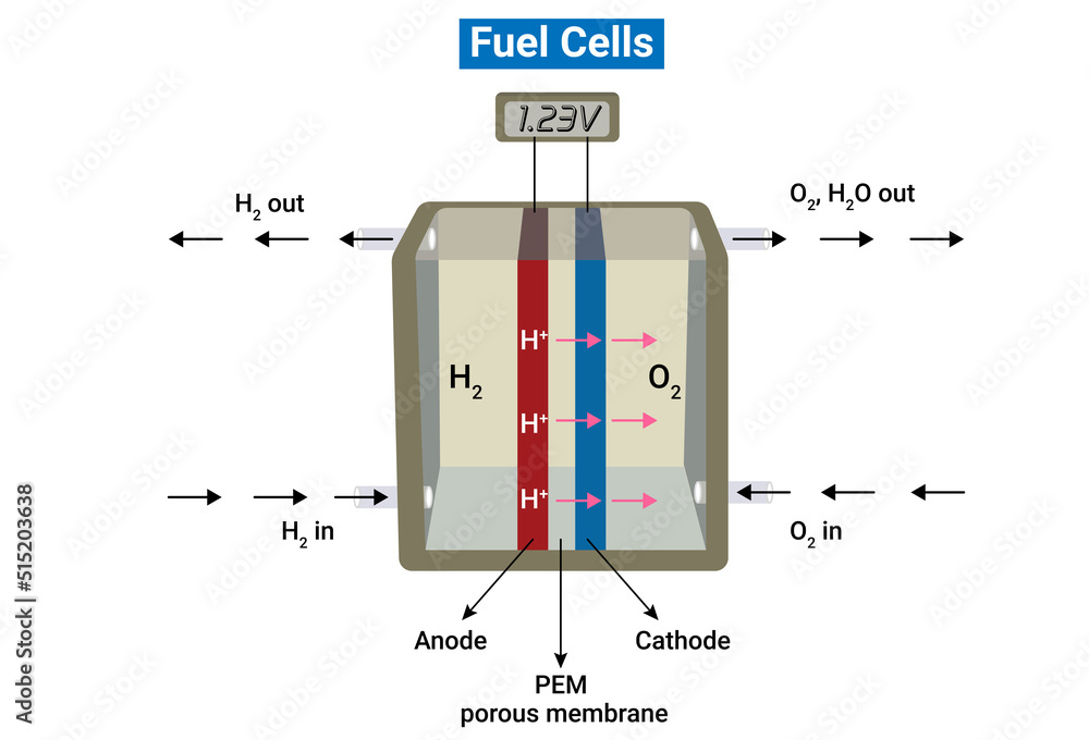 Hydrogen oxygen fuel cell or Scheme of a fuel cell Stock ベクター Adobe Stock
