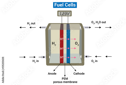 Hydrogen oxygen fuel cell or Scheme of a fuel cell photo