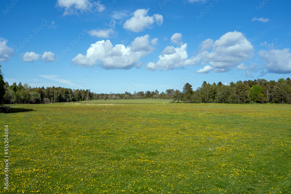 Obraz premium Gotland