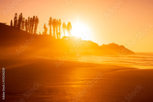 Sunrise on ocean coastline with waves and rocks with trees. Joaquina beach in Florianopolis