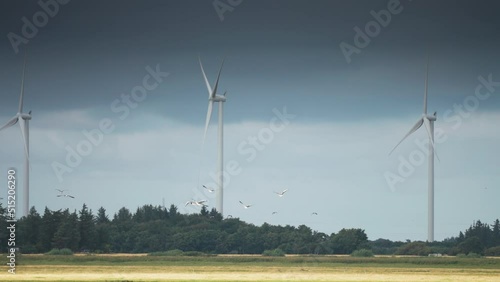 A flock of sea birds flies between the wind turbines. Slow-motion, pan follow. photo