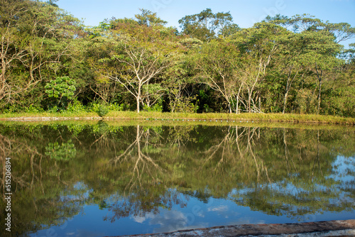 lake for fishing in the city of Dourados  Mato Grosso do Sul  Brazil