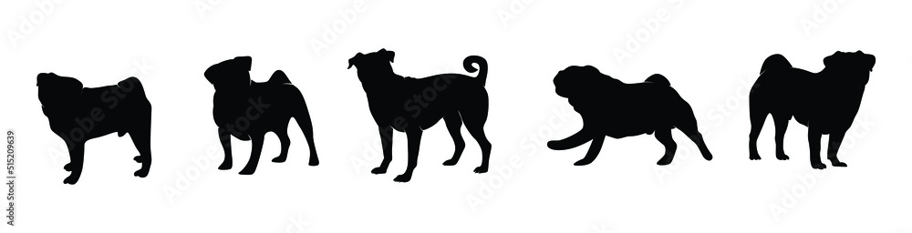 silhouette of a set dog in white background silhouette of a set dog in white background