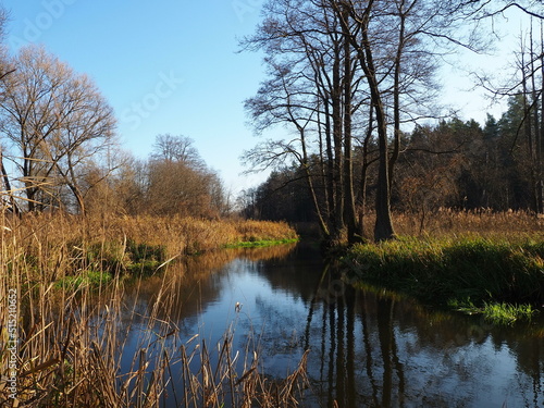 view of the river near Suprasl