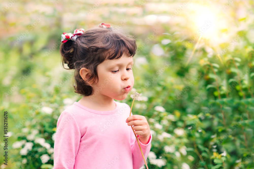 little child blowing on a dandelion little child blowing on a dandelion
