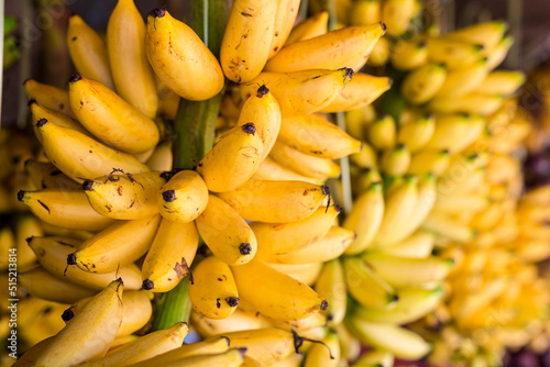 Stalks of ripe Señorita bananas on display together with other products at a public market in Tagaytay, Cavite, Philippines. photo