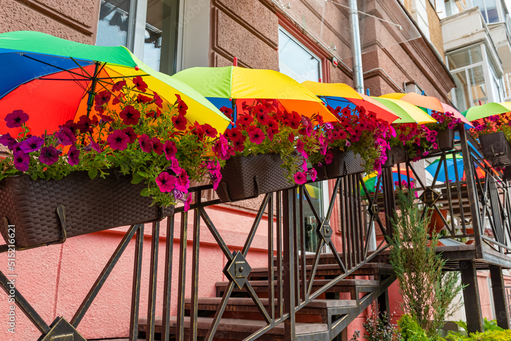 The flowers in the flower bed are covered from the scorching sun with umbrellas. Flowering plants thrive in the heat