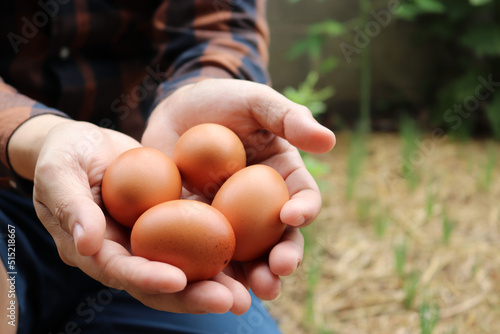 Farmer holds chicken eggs amid home grown vegetable garden.