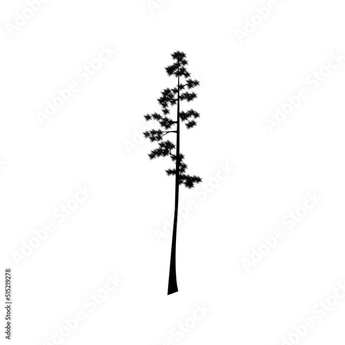Giant Sequoia tree Silhouette vector