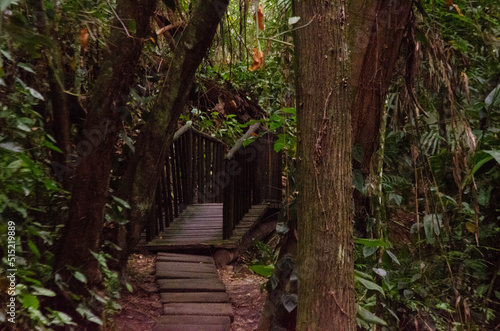 Wooden bridge  surrounded by trees. Way of St. James  in   guas de S  o Pedro. Tourist point of Estancia de   guas de S  o Pedro.