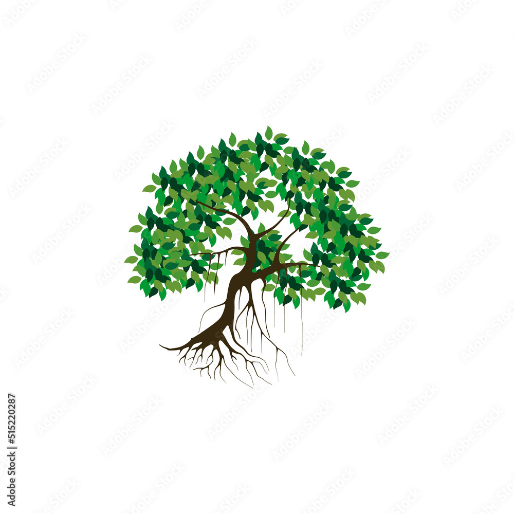 Obraz premium tree and roots vector illustrations, mangrove tree
