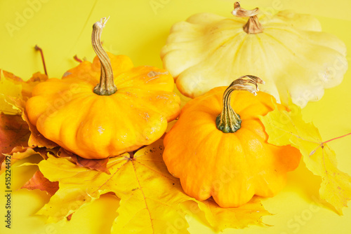 squash and autumn yellow leaves on a yellow background