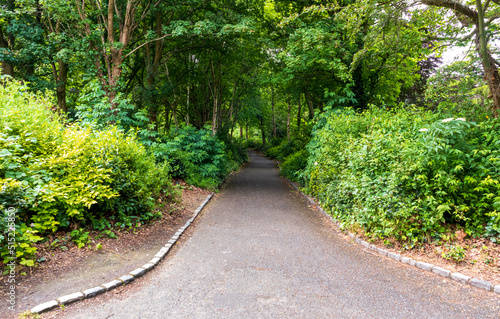 Scenic view of Merrion Square Park in Dublin, Ireland photo