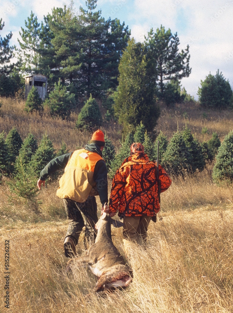 A pair of hunters work to get a buck out of the field 