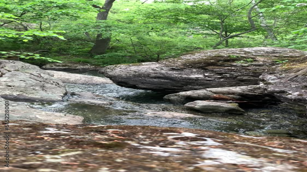 Pure mountain stream - a waterfall flows in the middle of a green forest, between huge boulders. Moss-covered gray boulder stones Pure mountain stream - a waterfall flows in the middle of a green forest, between huge boulders. Moss-covered gray boulder stones