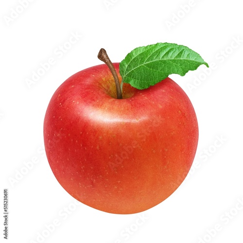 りんご リンゴ イラスト リアル