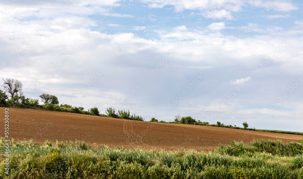 Arable land and sky