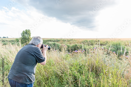 Rear view of a gray haired mature man taking camera shots of thistles in a field with a cloudy sky. © fotosdanielgbueno