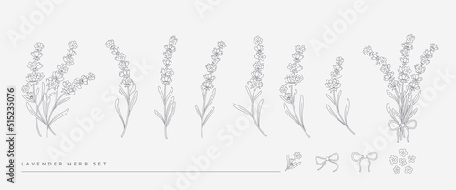 Set of elegant hand-drawn vector Lavender illustrations. Perfect for wedding invitations, logo, fabric, packaging, baby products. Botanical minimalistic.