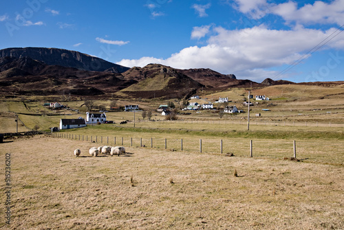 Abitazioni ed allevamenti all'isola di Skye